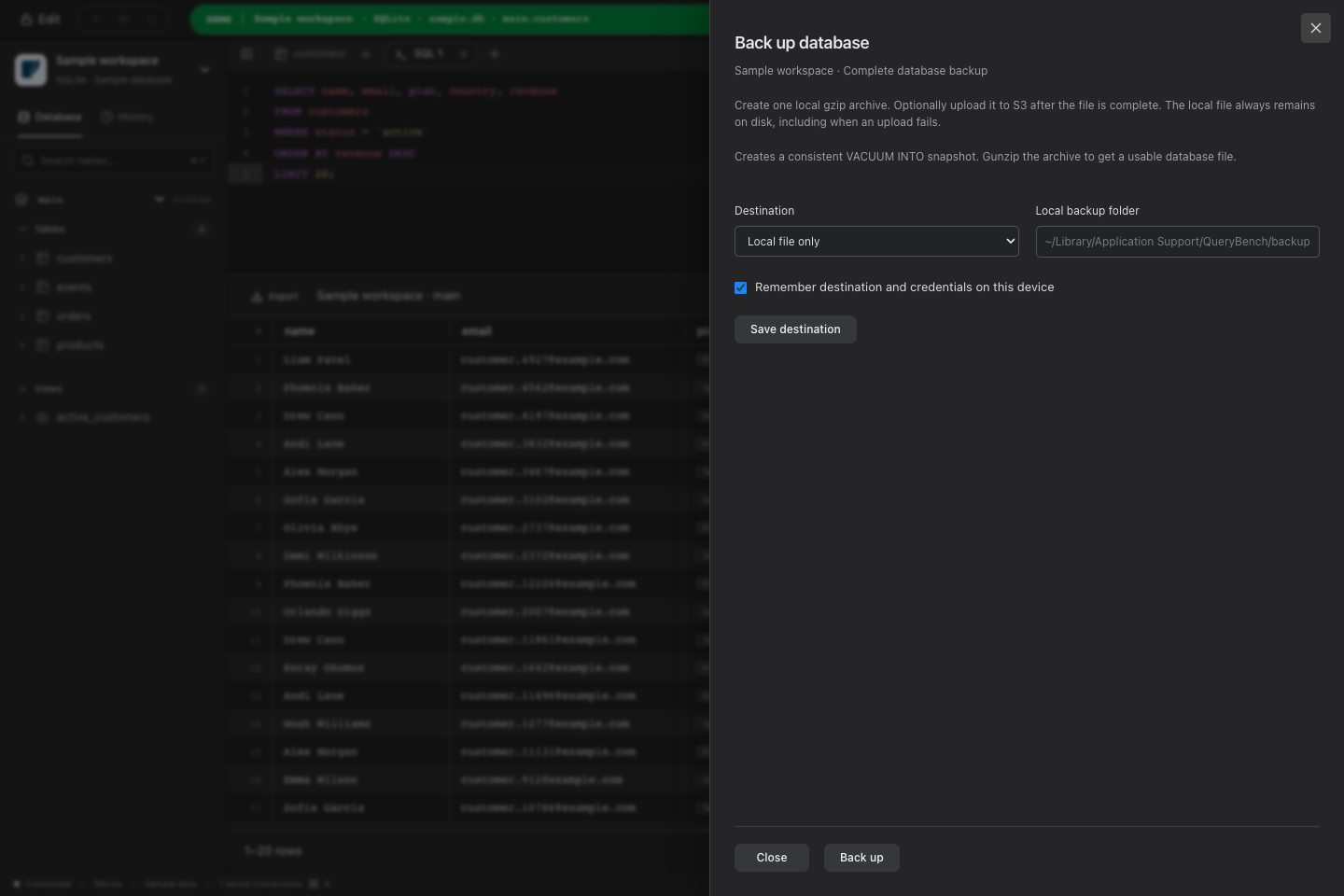 Back up database panel with Local file only selected and a local backup folder
