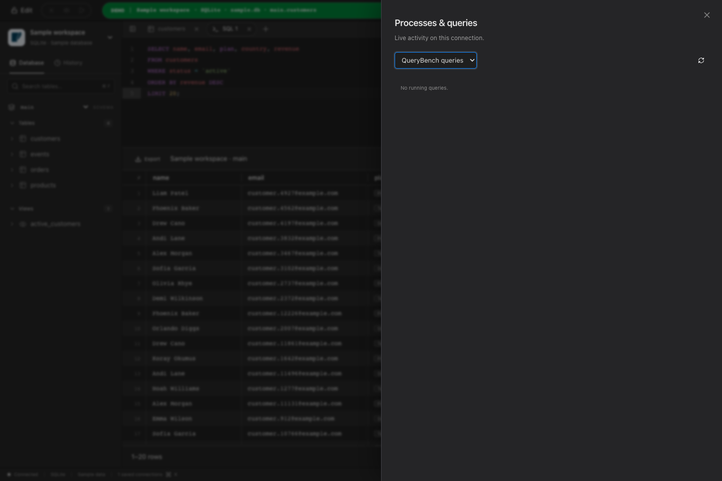 Processes and queries panel showing live activity on a connection